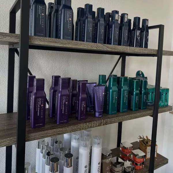 Vivid colour work at Alchemy Collective Hairlab